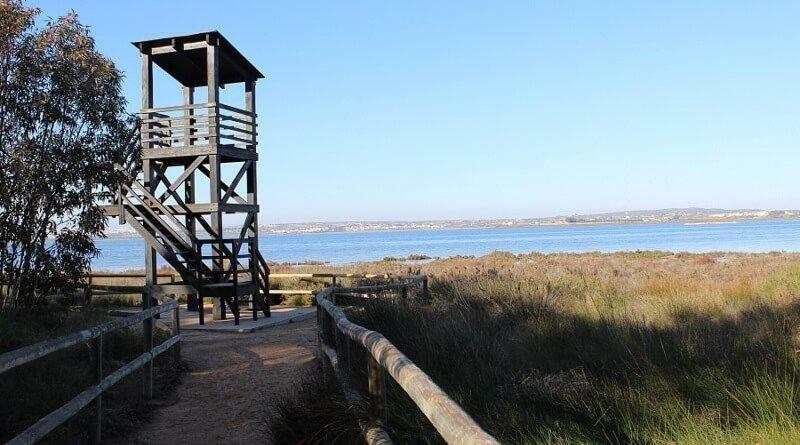 Apartamento Vistas La Mata Playa Eksteriør billede
